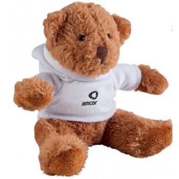 Hoody Teddy Bear
